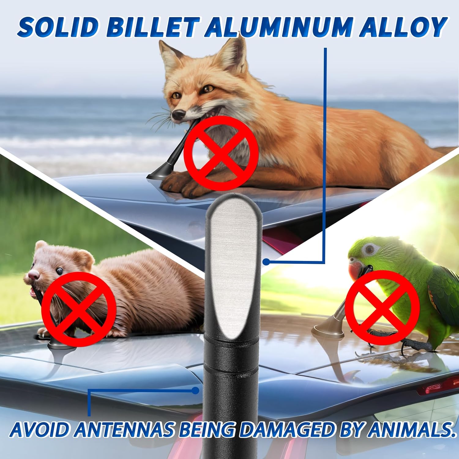 Bingfu Autoantenne Kurz Universal Auto Antenne 10cm Autoradio Dachantenne Ersatz für Optimalen AM/FM-Empfang