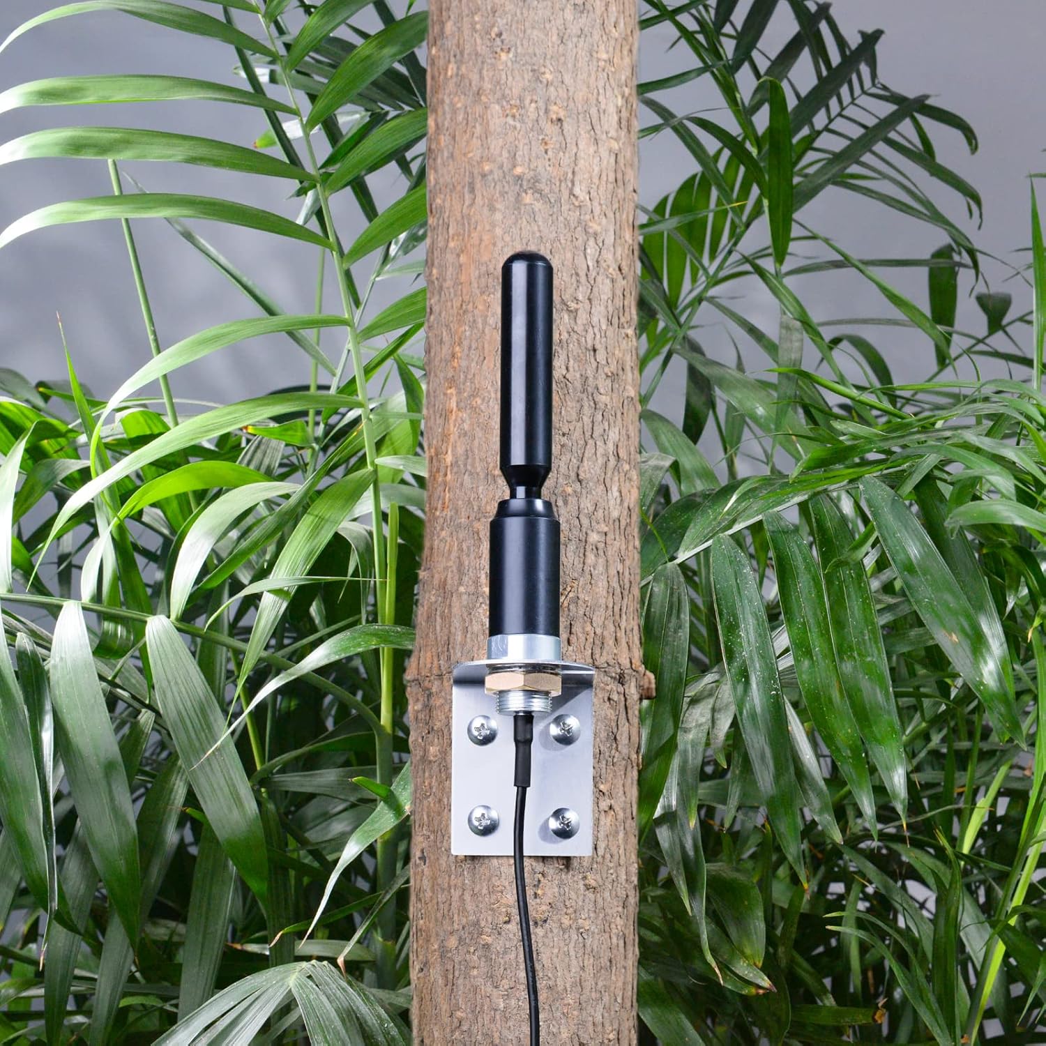 4G LTE Antenne SMA 3dBi 698-2700MHz wasserdichte Antenne zur Wandmontage mit 3 Meter Kabel Kompatibel mit 4G LTE Router Gateway Modem Mobilfunkrouter Gateway Wildkamera