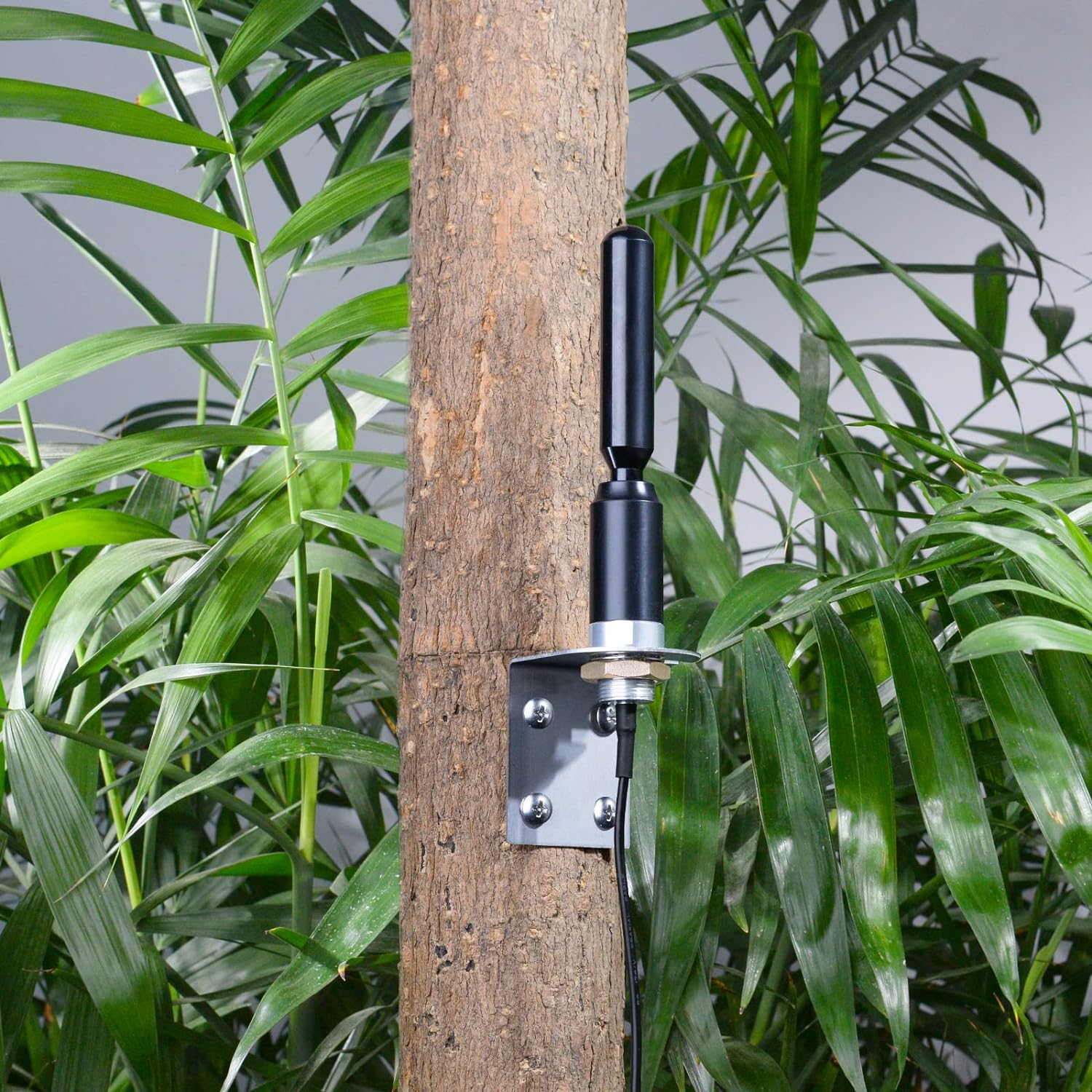 4G LTE Antenne SMA 3dBi 698-2700MHz wasserdichte Antenne zur Wandmontage mit 3 Meter Kabel Kompatibel mit 4G LTE Router Gateway Modem Mobilfunkrouter Gateway Wildkamera