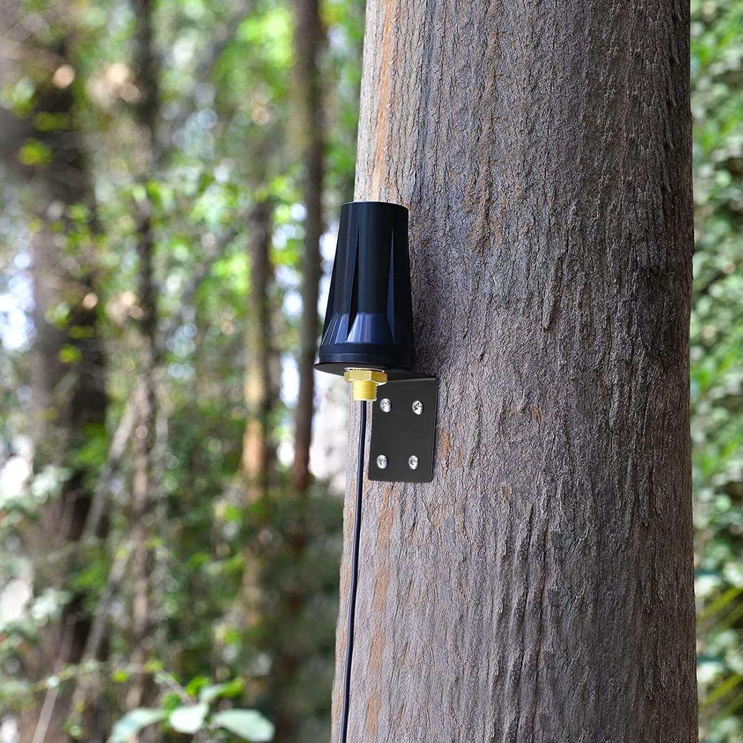 4G LTE Antenne Outdoor 5dBi SMA Stecker Antenne Außenwandmontage wasserdichte Antenne für 4G LTE Router Gateway Modem Hotspot Trail Kamera