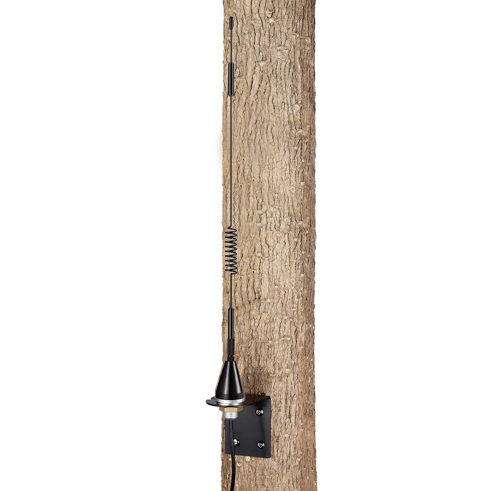 Bingfu wall-mount antenna connected to a Spypoint trail camera for enhanced forest signal