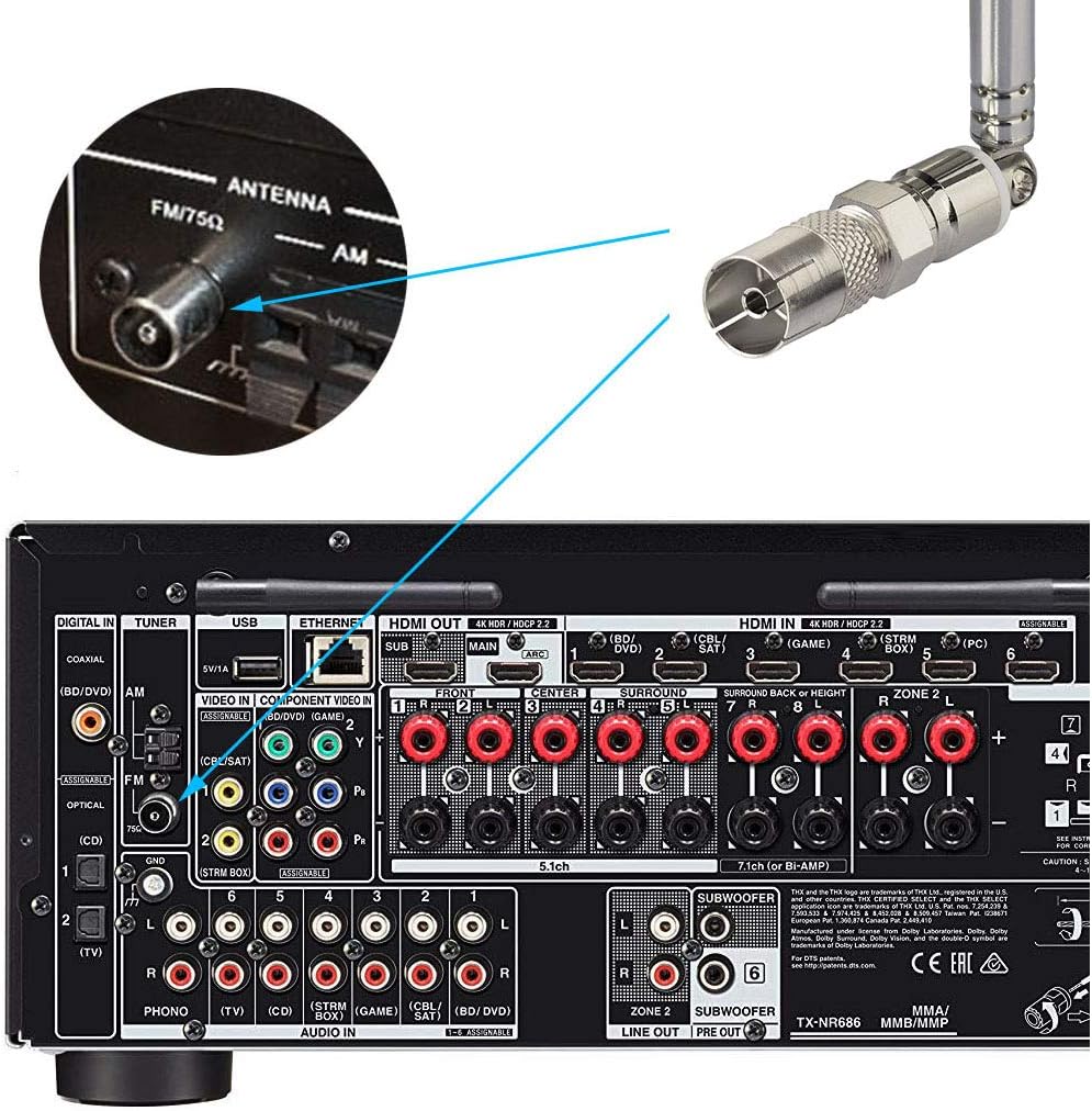 Close-up view of the 2-pin AM connector and the F-type FM dipole connector.