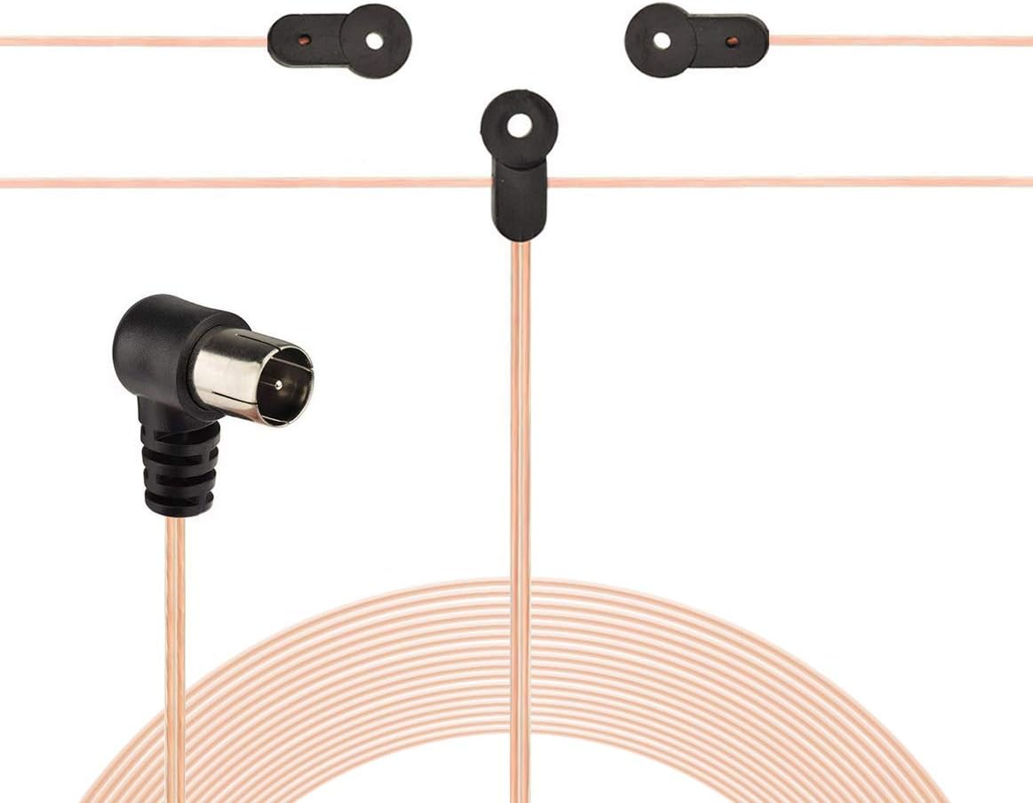 Detailed view of the 3-pin AM plug and F-type FM dipole connector