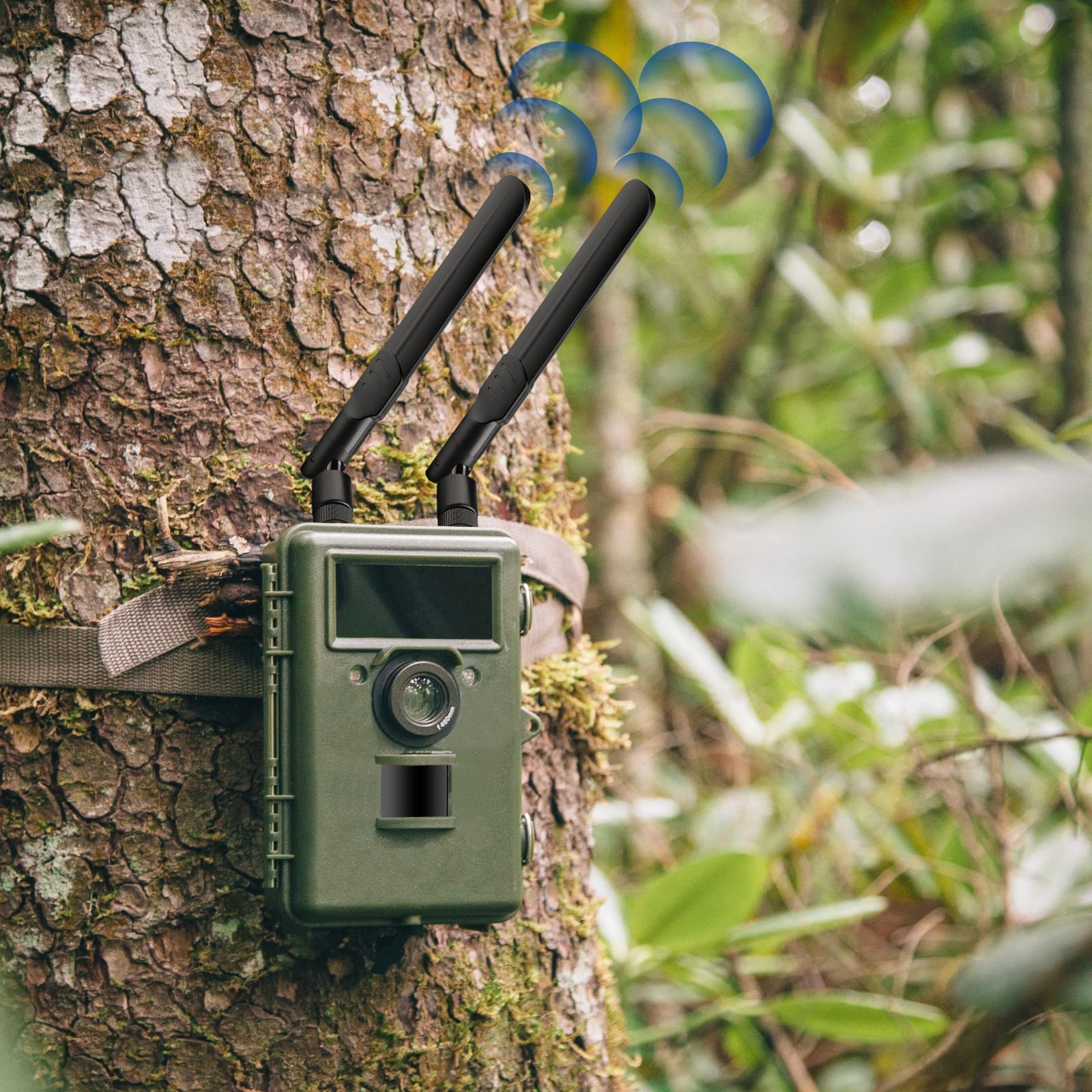Installing Bingfu RP-SMA antenna on a Spypoint Link-Micro cellular trail camera